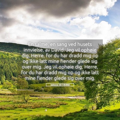Picture 05 - Salmene 30:1 NORSK - En salme, en sang ved husets innvielse, av David. - Bible Verse Picture