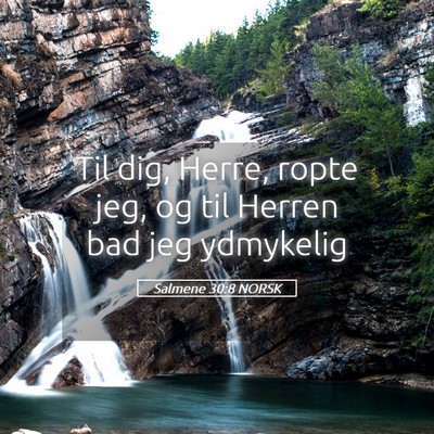 Picture 05 - Salmene 30:8 NORSK - Til dig, Herre, ropte jeg, og til Herren bad jeg - Bible Verse Picture