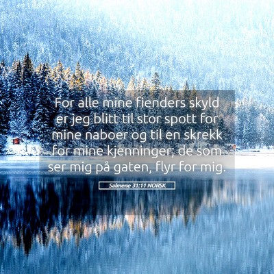 Picture 05 - Salmene 31:11 NORSK - For alle mine fienders skyld er jeg blitt til - Bible Verse Picture