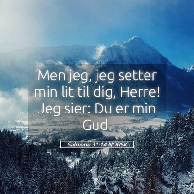 Picture 05 - Salmene 31:14 NORSK - Men jeg, jeg setter min lit til dig, Herre! Jeg - Bible Verse Picture