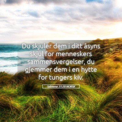 Picture 05 - Salmene 31:20 NORSK - Du skjuler dem i ditt åsyns skjul for menneskers - Bible Verse Picture