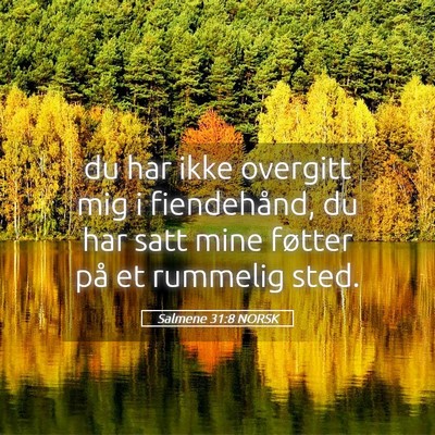 Picture 05 - Salmene 31:8 NORSK - du har ikke overgitt mig i fiendehånd, du har - Bible Verse Picture