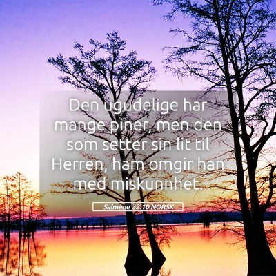 Picture 05 - Salmene 32:10 NORSK - Den ugudelige har mange piner, men den som setter - Bible Verse Picture