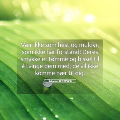 Picture 05 - Salmene 32:9 NORSK - Vær ikke som hest og muldyr, som ikke har - Bible Verse Picture