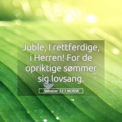 Picture 05 - Salmene 33:1 NORSK - Juble, I rettferdige, i Herren! For de opriktige - Bible Verse Picture