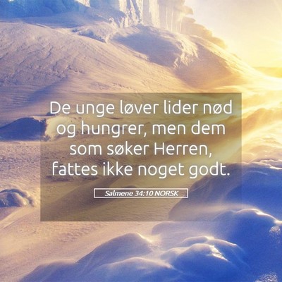 Picture 05 - Salmene 34:10 NORSK - De unge løver lider nød og hungrer, men dem som - Bible Verse Picture