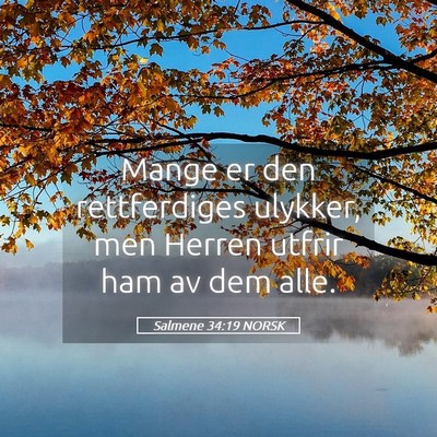 Picture 05 - Salmene 34:19 NORSK - Mange er den rettferdiges ulykker, men Herren - Bible Verse Picture