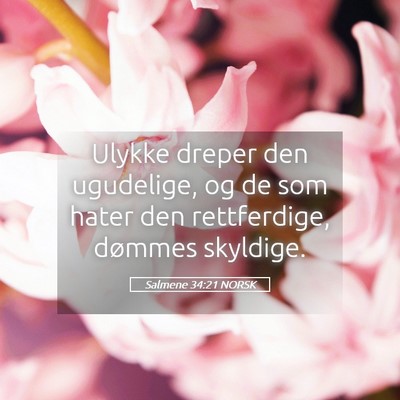 Picture 05 - Salmene 34:21 NORSK - Ulykke dreper den ugudelige, og de som hater den - Bible Verse Picture