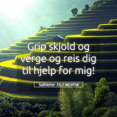 Picture 05 - Salmene 35:2 NORSK - Grip skjold og verge og reis dig til hjelp for - Bible Verse Picture