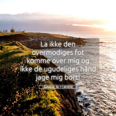 Picture 05 - Salmene 36:11 NORSK - La ikke den overmodiges fot komme over mig og - Bible Verse Picture