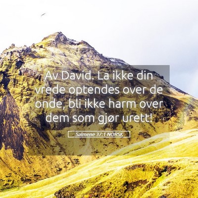 Picture 05 - Salmene 37:1 NORSK - Av David. La ikke din vrede optendes over de - Bible Verse Picture