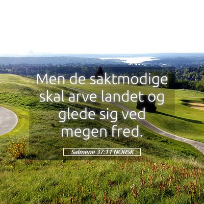 Picture 05 - Salmene 37:11 NORSK - Men de saktmodige skal arve landet og glede sig - Bible Verse Picture