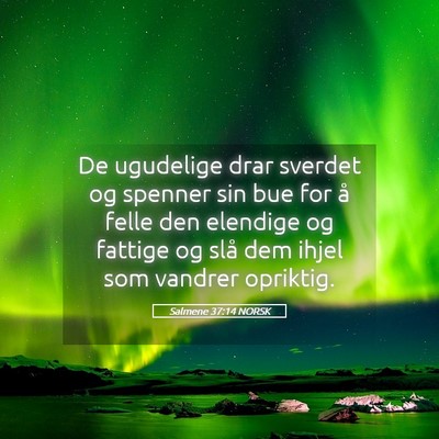Picture 05 - Salmene 37:14 NORSK - De ugudelige drar sverdet og spenner sin bue for - Bible Verse Picture