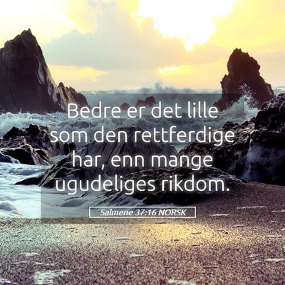 Picture 05 - Salmene 37:16 NORSK - Bedre er det lille som den rettferdige har, enn - Bible Verse Picture