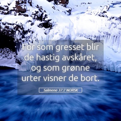Picture 05 - Salmene 37:2 NORSK - For som gresset blir de hastig avskåret, og som - Bible Verse Picture
