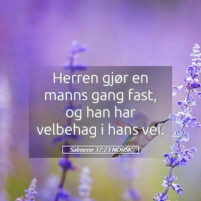 Picture 05 - Salmene 37:23 NORSK - Herren gjør en manns gang fast, og han har - Bible Verse Picture