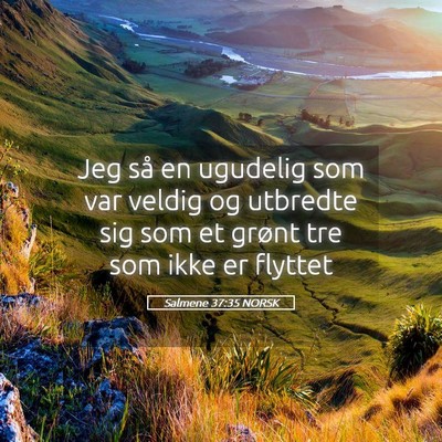 Picture 05 - Salmene 37:35 NORSK - Jeg så en ugudelig som var veldig og utbredte - Bible Verse Picture
