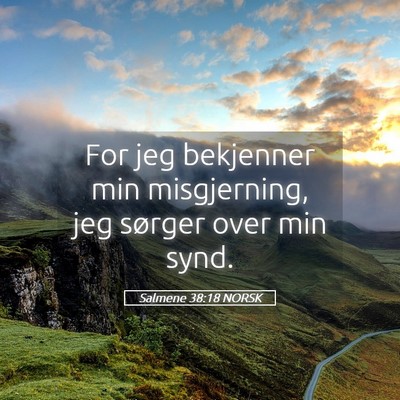 Picture 05 - Salmene 38:18 NORSK - For jeg bekjenner min misgjerning, jeg sørger - Bible Verse Picture