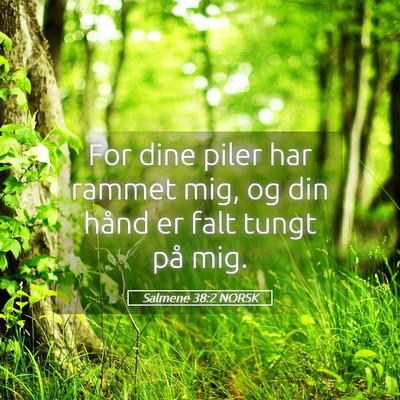 Picture 05 - Salmene 38:2 NORSK - For dine piler har rammet mig, og din hånd er - Bible Verse Picture