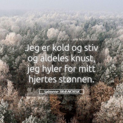 Picture 05 - Salmene 38:8 NORSK - Jeg er kold og stiv og aldeles knust, jeg hyler - Bible Verse Picture
