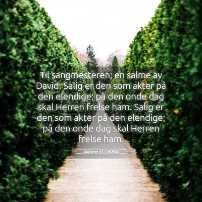 Picture 05 - Salmene 41:1 NORSK - Til sangmesteren; en salme av David. Salig er den - Bible Verse Picture