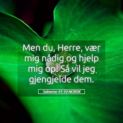 Picture 05 - Salmene 41:10 NORSK - Men du, Herre, vær mig nådig og hjelp mig op! - Bible Verse Picture