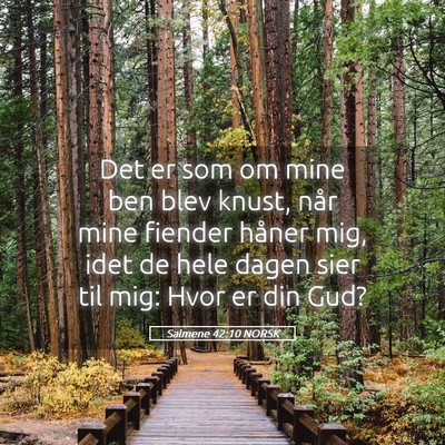 Picture 05 - Salmene 42:10 NORSK - Det er som om mine ben blev knust, når mine - Bible Verse Picture