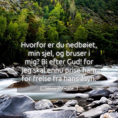 Picture 05 - Salmene 42:5 NORSK - Hvorfor er du nedbøiet, min sjel, og bruser i - Bible Verse Picture