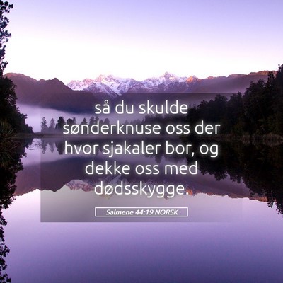 Picture 05 - Salmene 44:19 NORSK - så du skulde sønderknuse oss der hvor sjakaler - Bible Verse Picture
