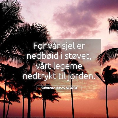 Picture 05 - Salmene 44:25 NORSK - For vår sjel er nedbøid i støvet, vårt legeme - Bible Verse Picture