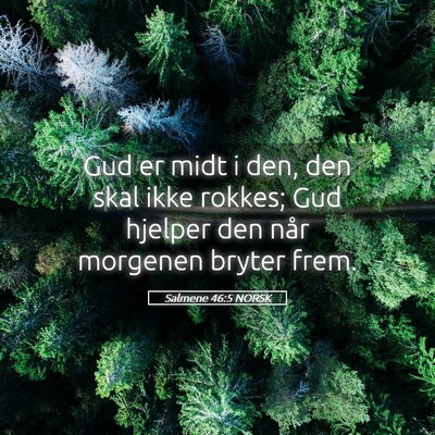 Picture 05 - Salmene 46:5 NORSK - Gud er midt i den, den skal ikke rokkes; Gud - Bible Verse Picture