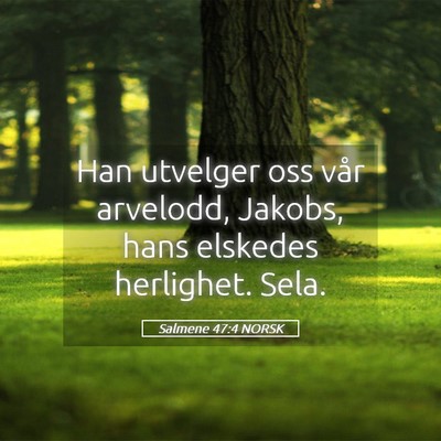 Picture 05 - Salmene 47:4 NORSK - Han utvelger oss vår arvelodd, Jakobs, hans - Bible Verse Picture