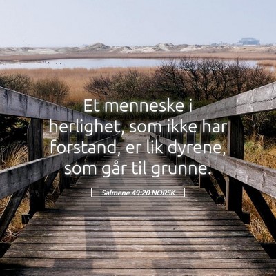 Picture 05 - Salmene 49:20 NORSK - Et menneske i herlighet, som ikke har forstand, - Bible Verse Picture