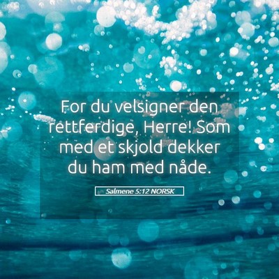 Picture 05 - Salmene 5:12 NORSK - For du velsigner den rettferdige, Herre! Som med - Bible Verse Picture