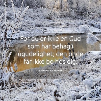 Picture 05 - Salmene 5:4 NORSK - For du er ikke en Gud som har behag i - Bible Verse Picture