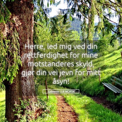 Picture 05 - Salmene 5:8 NORSK - Herre, led mig ved din rettferdighet for mine - Bible Verse Picture