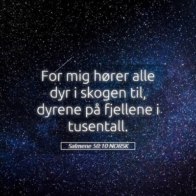 Picture 05 - Salmene 50:10 NORSK - For mig hører alle dyr i skogen til, dyrene på - Bible Verse Picture