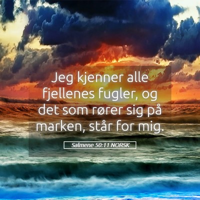 Picture 05 - Salmene 50:11 NORSK - Jeg kjenner alle fjellenes fugler, og det som - Bible Verse Picture