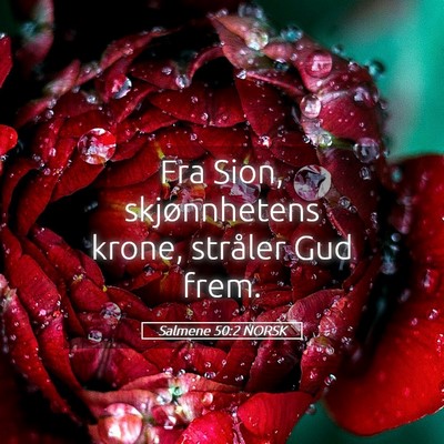 Picture 05 - Salmene 50:2 NORSK - Fra Sion, skjønnhetens krone, stråler Gud - Bible Verse Picture