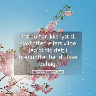 Picture 05 - Salmene 51:16 NORSK - For du har ikke lyst til slaktoffer, ellers vilde - Bible Verse Picture