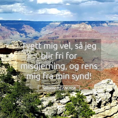 Picture 05 - Salmene 51:2 NORSK - Tvett mig vel, så jeg blir fri for misgjerning, - Bible Verse Picture