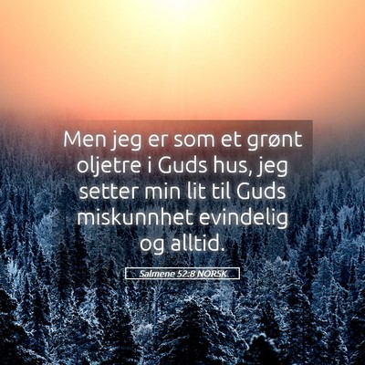 Picture 05 - Salmene 52:8 NORSK - Men jeg er som et grønt oljetre i Guds hus, jeg - Bible Verse Picture