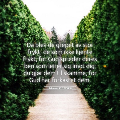 Picture 05 - Salmene 53:5 NORSK - Da blev de grepet av stor frykt, de som ikke - Bible Verse Picture
