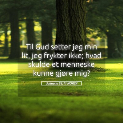 Picture 05 - Salmene 56:11 NORSK - Til Gud setter jeg min lit, jeg frykter ikke; - Bible Verse Picture