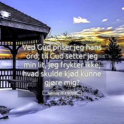 Picture 05 - Salmene 56:4 NORSK - Ved Gud priser jeg hans ord; til Gud setter jeg - Bible Verse Picture