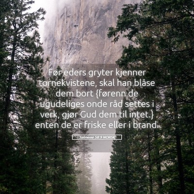 Picture 05 - Salmene 58:9 NORSK - Før eders gryter kjenner tornekvistene, skal han - Bible Verse Picture