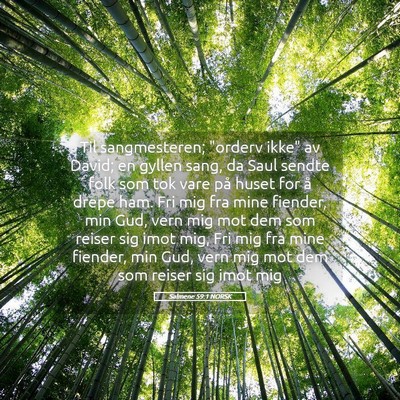 Picture 05 - Salmene 59:1 NORSK - Til sangmesteren; 