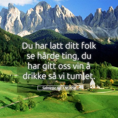 Picture 05 - Salmene 60:3 NORSK - Du har latt ditt folk se hårde ting, du har gitt - Bible Verse Picture