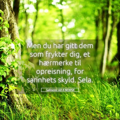 Picture 05 - Salmene 60:4 NORSK - Men du har gitt dem som frykter dig, et hærmerke - Bible Verse Picture