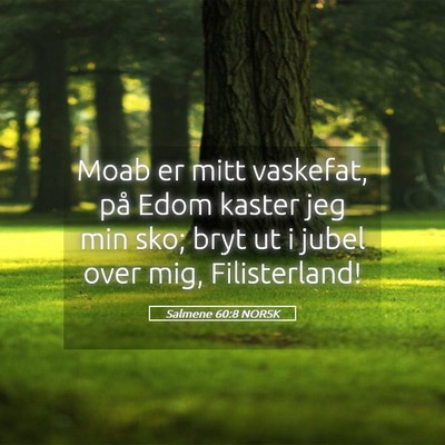 Picture 05 - Salmene 60:8 NORSK - Moab er mitt vaskefat, på Edom kaster jeg min - Bible Verse Picture